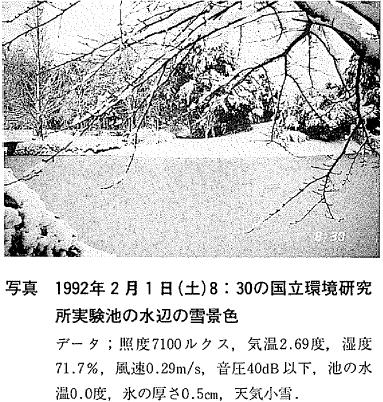 写真  1992年2月1日(土)8：30の国立環境研究所実験池の水辺の雪景色