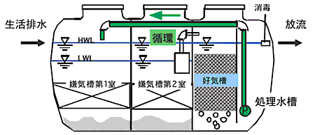 図１　浄化槽の概略図（通常、浄化槽は地中に埋められ、マンホールのみが見えています。）