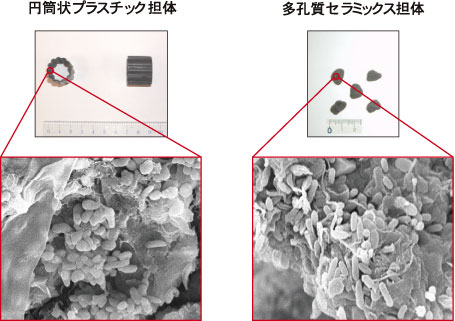 図４　高度処理浄化槽に充填された微生物付着担体と付着微生物（拡大写真中で米粒のように見えるのが微生物で、1/1,000 mm程度の大きさです。）