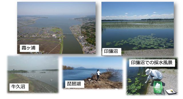 環境DNA調査を行なった湖と採水風景写真