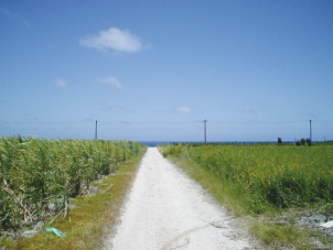 波照間島道路の写真