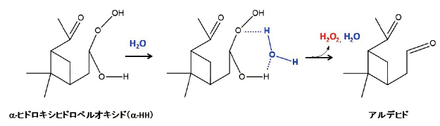 エアロゾル中でα-HHが水分子と反応し、過酸化水素H2O2とアルデヒドを生成するメカニズムの図　