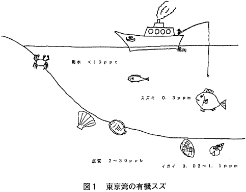 図１  東京湾の有機スズ