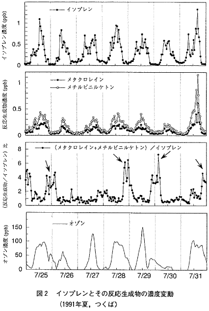 図2  イソプレンとその反応生成物の濃度変動（1991年夏，つくば）