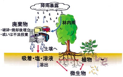 汚染経路の図