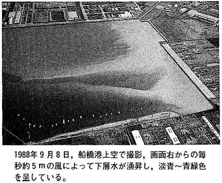 1988年9月8日，船橋港上空で撮影，画面右からの毎秒約5mの風によって下層水が湧昇し，淡青〜青緑色を呈している。