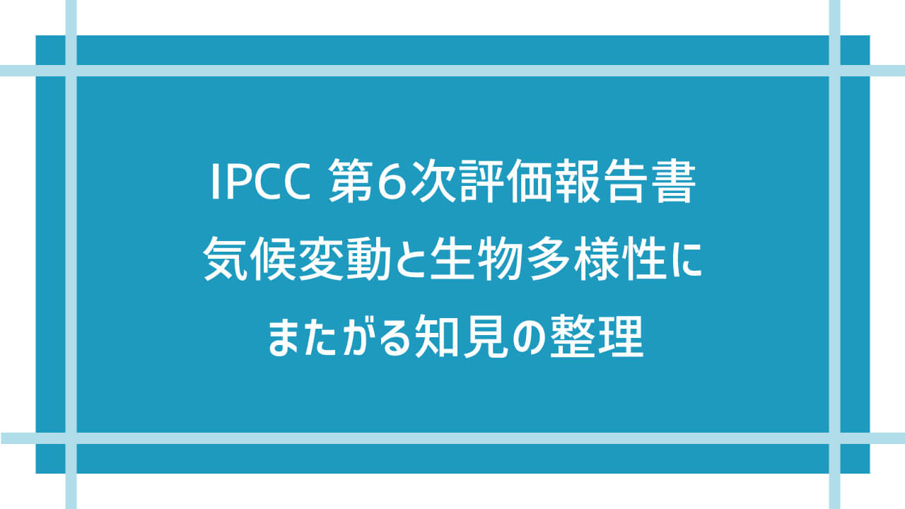 【IPCC執筆者監修】気候変動と生物多様性にまたがる知見の整理