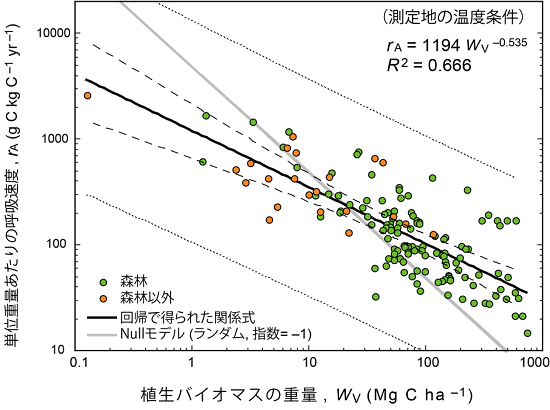 文献値より得られた植生のサイズ（重量）と単位重さあたりの呼吸速度の関係を表した図