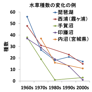 水草種数の変化の例の図