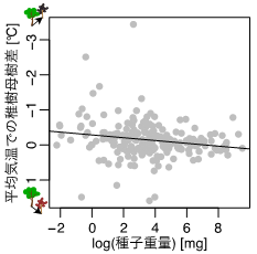 図４．平均気温における稚樹母樹差と種子重量との関係